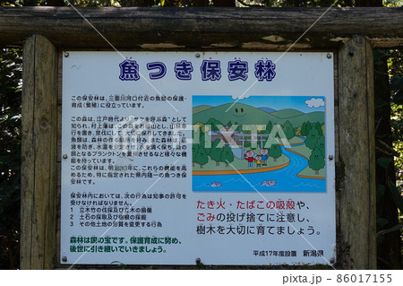サケを呼ぶ森　三面川河口付近の魚つき保安林案内板（新潟県村上市） 86017155