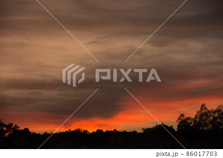Evening Sky Silhouette Evening Sky Silhouette 86017703