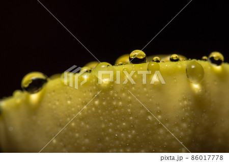 Macro water droplets on yellow plants Macro water droplets on yellow plants 86017778