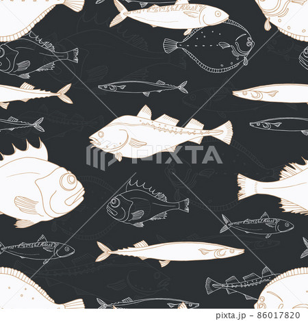 Seamless pattern of white sea fish on black background. Perch, cod, scomber, mackerel, flounder, saira. Vector doodle. Seamless pattern of white sea fish on black background. Perch, cod, scomber, mackerel, flounder, saira. Vector doodle. 86017820