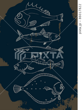 Set of sea fish. Vector doodle. 86017822