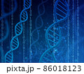 遺伝子（DNA） 86018123
