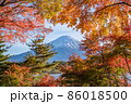 紅葉から覗く富士山 86018500