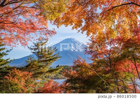 紅葉から覗く富士山 86018500