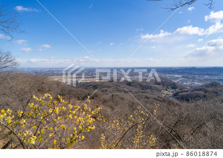 鐘撞堂山の山頂から見た景色（ロウバイが咲き始め） 86018874