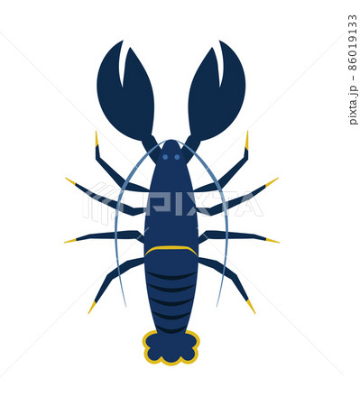 Lobster Flat Illustration Lobster Flat Illustration 86019133