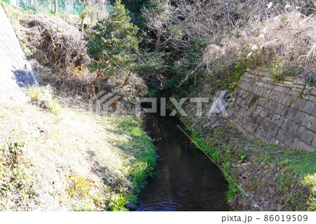 道保川 道保川 86019509