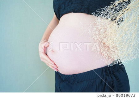 妊婦のお腹とかすみそう 妊婦のお腹とかすみそう 86019672