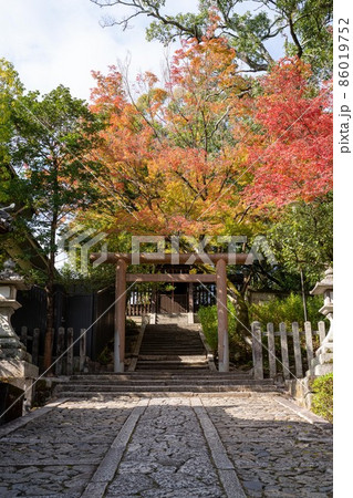 今宮神社 86019752