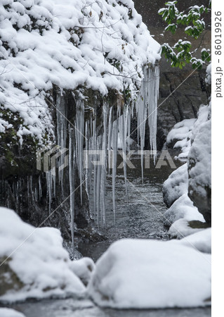 厳冬の頃の滝。したたる滴が凍り氷柱ができている。「岡山県真庭市・神庭の滝」 厳冬の頃の滝。したたる滴が凍り氷柱ができている。「岡山県真庭市・神庭の滝」 86019926