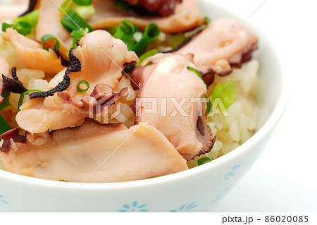 たこ飯 たこ飯 86020085
