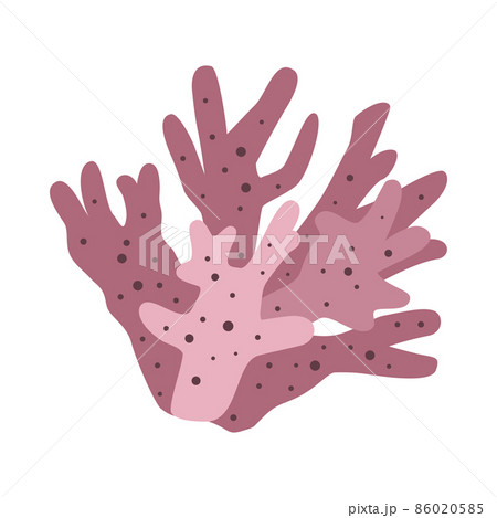 Coral Flat Illustration 86020585