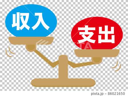 收入/支出 86021650