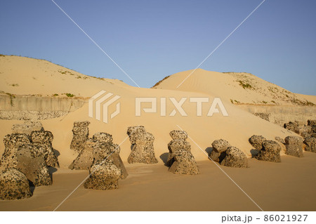 tetrapods 86021927