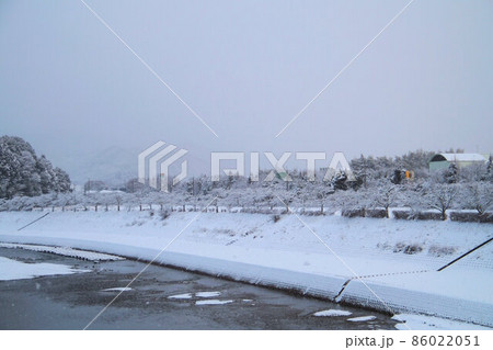 雪の朝 篠山川 新田橋からの風景 1月 雪の朝 篠山川 新田橋からの風景 1月 86022051