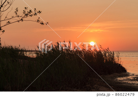 Orange sunset over Gulf of Finland, summer evening Orange sunset over Gulf of Finland, summer evening 86022479