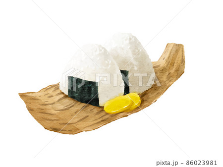 竹の皮に載せた美味しそうなおにぎりの水彩画風イラスト 86023981