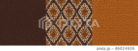 Textures of snake, crocodile or lizard skin Textures of snake, crocodile or lizard skin 86024926