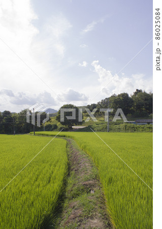田舎 フル 米 86025084