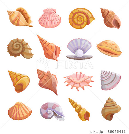 Sea shell beach icons set, cartoon style 86026411