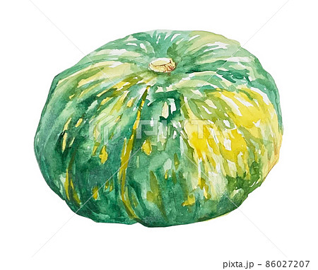 かぼちゃの水彩イラストのイラスト素材 [86027207] - PIXTA
