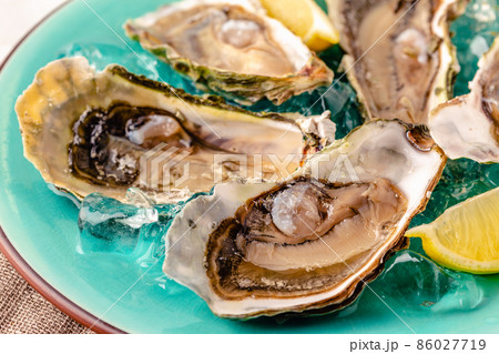 Opened fresh oysters on a blue plate, served with lemon and ice. 86027719