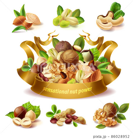 Vector 3d realistic set of different nuts 86028952