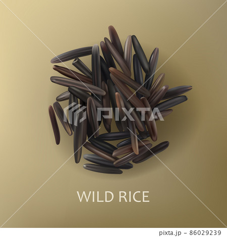Grains of wild black rice 86029239
