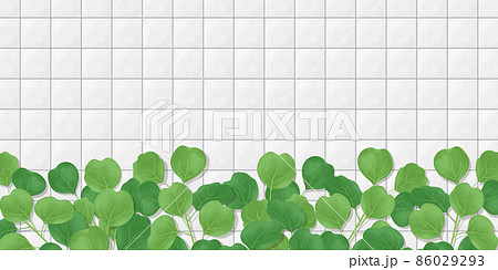 白いタイルの壁と植物のイラスト　背景素材　バナー素材 86029293