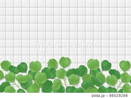 白いタイルの壁と植物のイラスト　背景素材 86029298