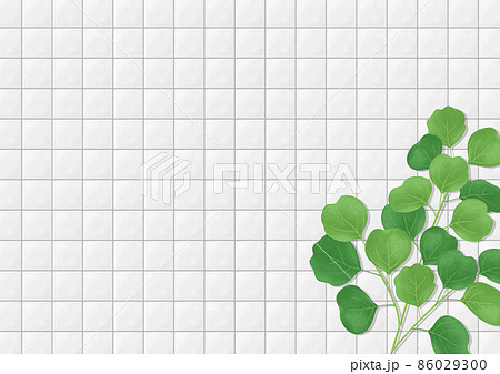 白いタイルの壁と植物のイラスト　背景素材 86029300
