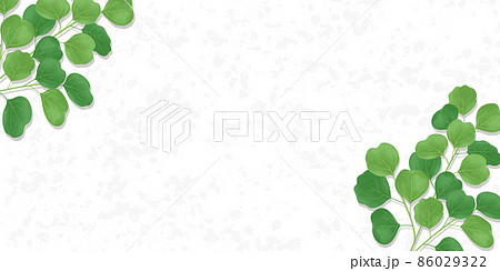 植物のイラスト　背景素材　白い背景　バナーサイズ 86029322