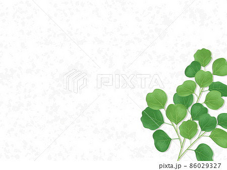 植物のイラスト　背景素材　白い背景 86029327