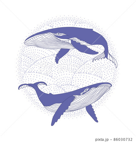 A pair of whales on the waves in very peri color. 86030732
