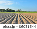 Lines of soil made by tractors has blue sky and mountain background ,agriculture in Thailand 86031644