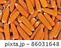 Close up  dried yellow corn kernels are lined up in the background. 86031648