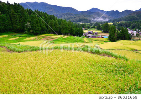 北五百川の棚田（新潟県） 86031669