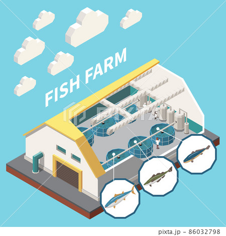 Industrial Fish Production Isometric 86032798