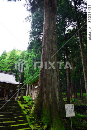八木神社（新潟県） 86033455
