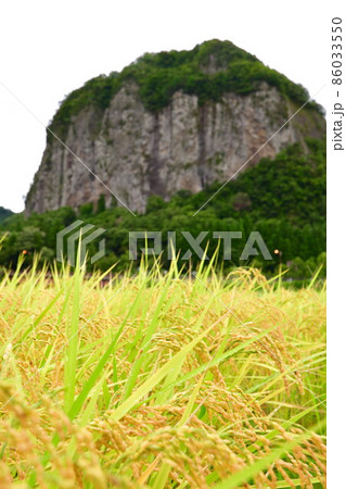八木ヶ鼻(新潟県) 八木ヶ鼻(新潟県) 86033550