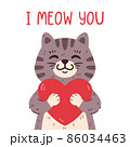 Cute cat holding heart. I meow you greeting card for saint valentine day, 14 February. Sweet domestic animal in love. Vector illustration isolated on white background. Poster, flyers, invitation. 86034463