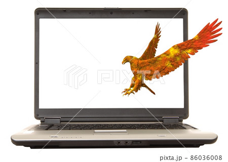 Laptop Eagle 86036008