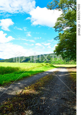 田園風景(新潟県) 田園風景(新潟県) 86037400