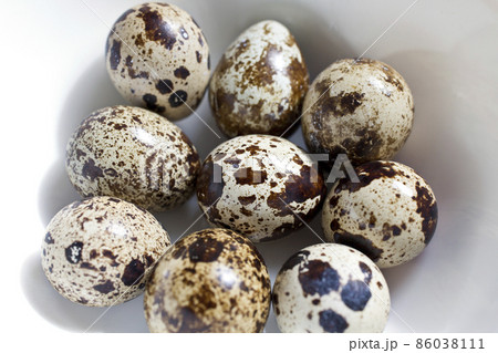 うずらの卵　鶉　白背景 86038111