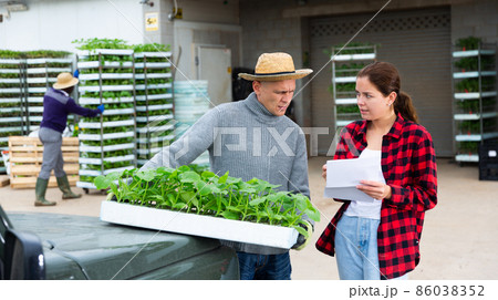 Farmers talking near car at plant nursery Farmers talking near car at plant nursery 86038352