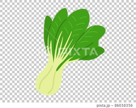 白菜蔬菜的插圖 86038356