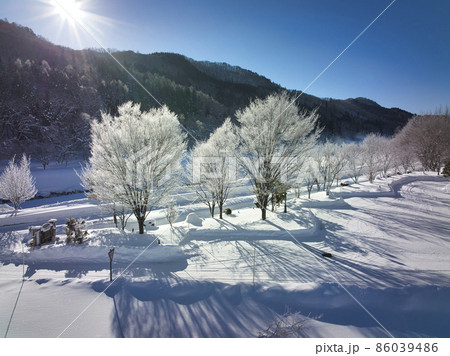 朝日に輝く美しい霧氷 長野県白馬村(ドローンによる空撮) 朝日に輝く美しい霧氷 長野県白馬村(ドローンによる空撮) 86039486