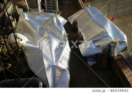 庭の花を傍観シートで被う 86039692