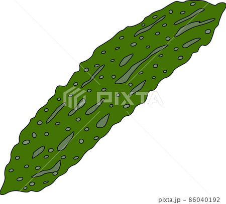 ゴーヤのイラスト素材 86040192