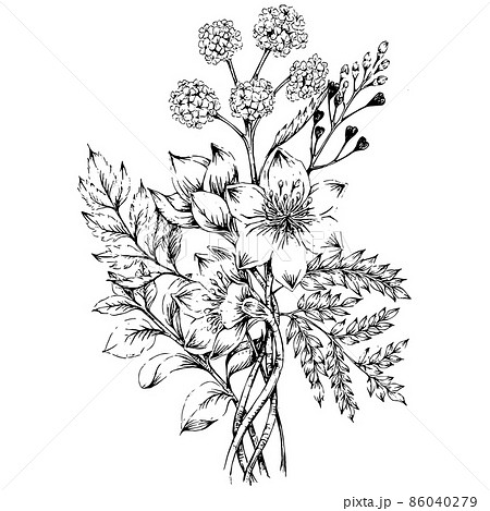 花束の手描きラインアート イラスト 86040279